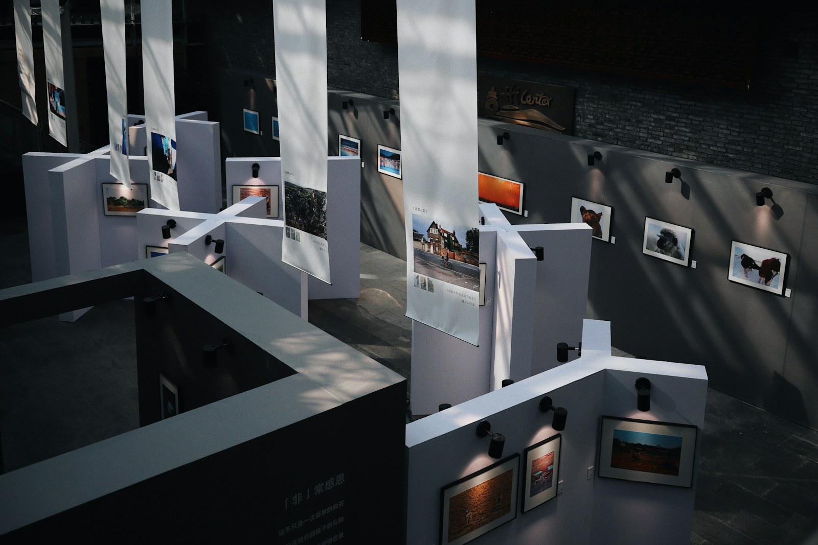 The Museum of Beautiful Things That Never Existed