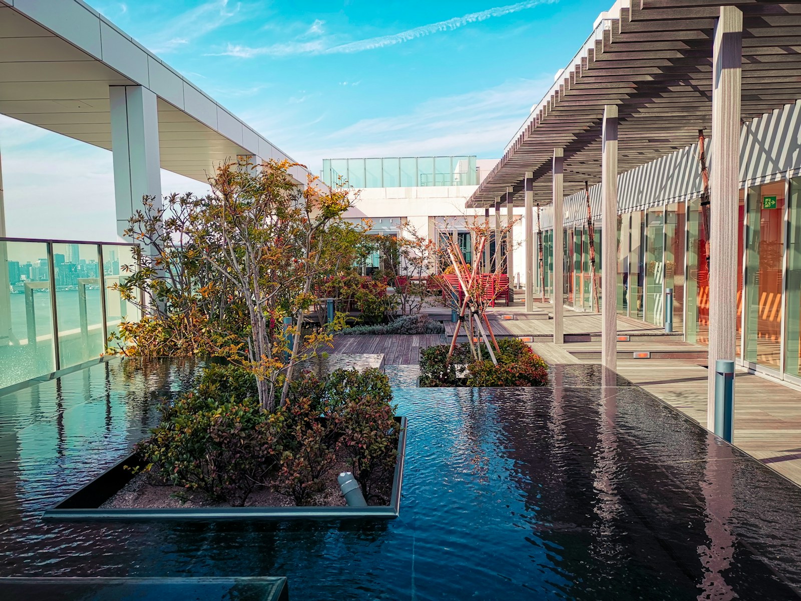 A City Where Every Rooftop Has a Purpose